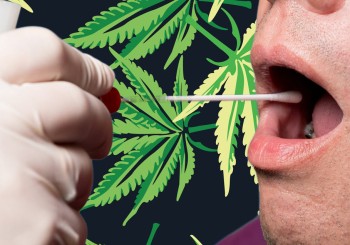 How Long Does Weed Stay in Your Saliva? - Mouth Swab Drug Test Guide