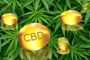 The Top 6 CBD Capsules on the Market Right Now