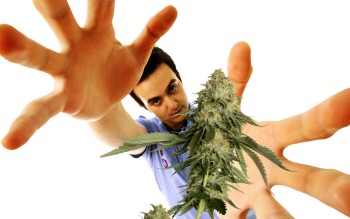 Marijuana Mystic: Can You Distort Reality to Never Run Out of Weed, Again? (Steve Jobs Believed!)
