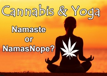 Cannabis  and Yoga - Namaste or NamasNope?