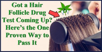 Got A Hair Follicle Drug Test Coming Up? Here’s The One Proven Way To Pass It