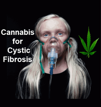 Cannabis for Cystic Fibrosis