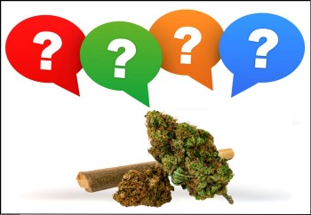 Can You Mix Two Different Cannabis Strains Together and Smoke It? What Happens to Your High?