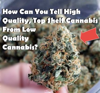 How Can You Tell Good Cannabis From Bad Cannabis?