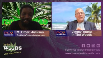 Jamaica is a Cannabis Paradise but Where Do They Fit in on the International Cannabis Stage?