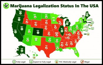 The Best States for Recreational and Medical Cannabis Use in 2020?