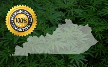 Why is Kentucky Cannabis So Good?