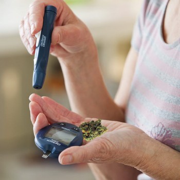 CBD for Diabetes - What the Latest Medical Studies Discovered about CBD for Diabetics
