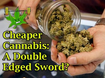 Cheaper Cannabis - A Double Edged Sword?