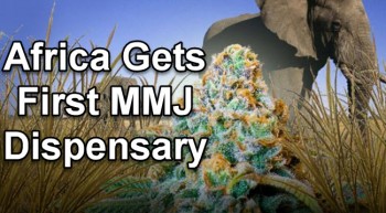Africa Gets First MMJ Dispensary