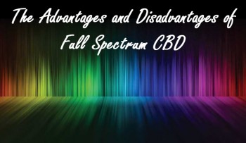 What are the Advantages and Disadvantages of Full-Spectrum CBD