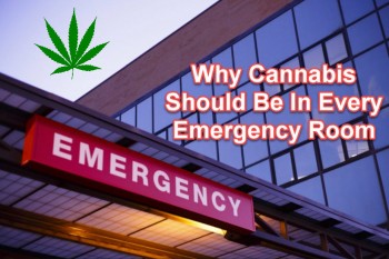 Why Cannabis Should Be In Every Emergency Room