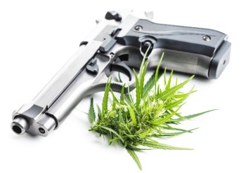 America's Constitutional Conundrum: Guns and Ganja