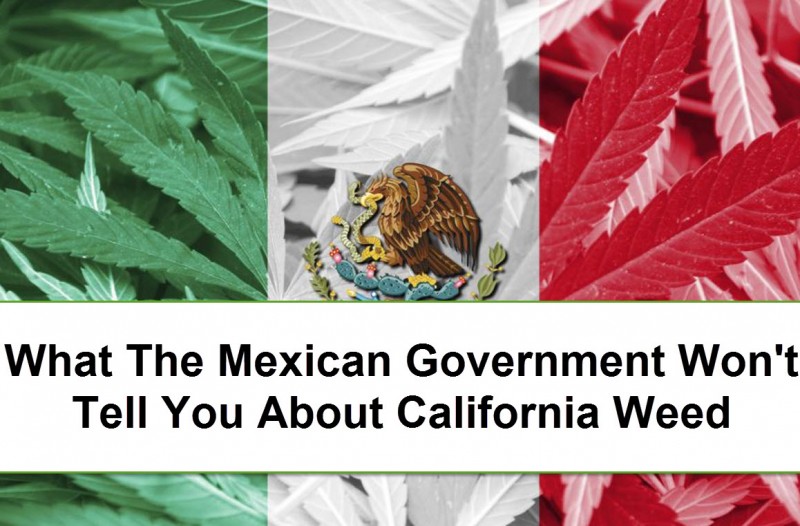 mexico weed california
