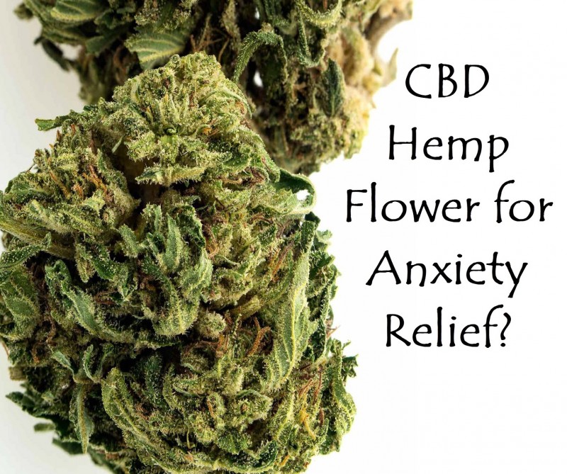 cbd hemp flower for anxiety relief