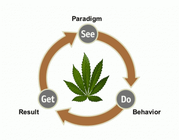 The Great Cannabis Paradigm Shift Explained