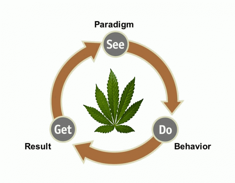 Cannabis Shift