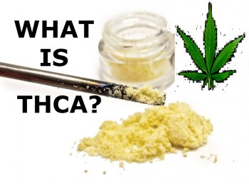 What is THCA?