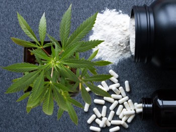 Creatine for Muscle Growth, But What About Creatine for Your Cannabis Plants and Soil?