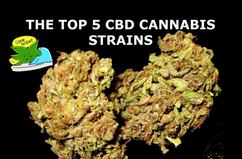 cbd strains