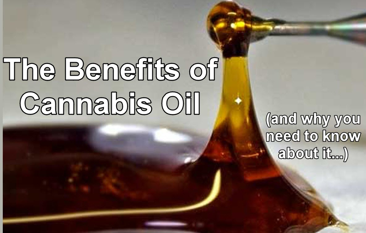 Image result for cannabis oil