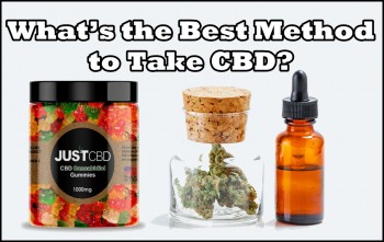 What’s the Best Method to Take CBD? (Or Is There One?)