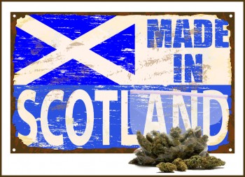 Cannabis Slavery in Scotland - Who's to Blame?