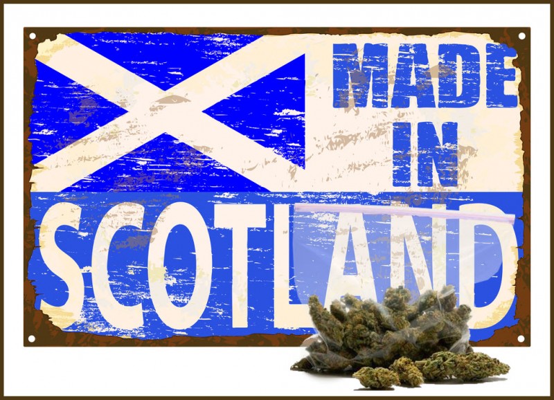 Scotland cannabis farms child labor
