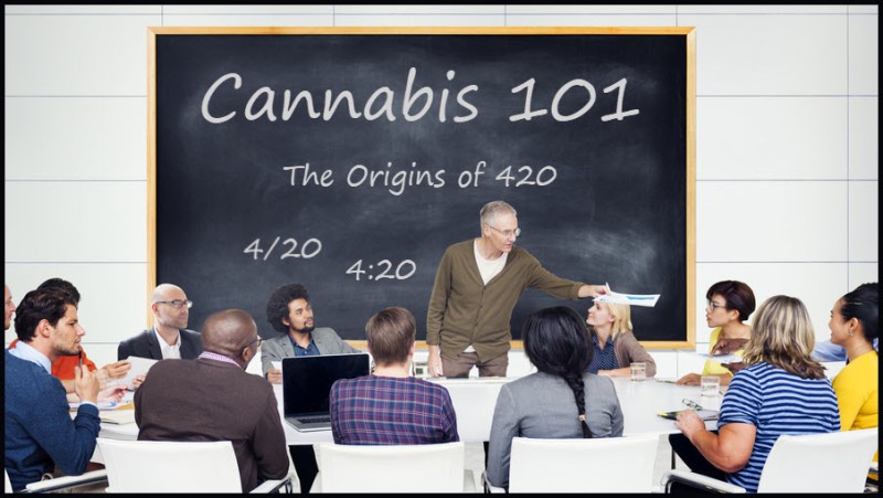 community college cannabis
