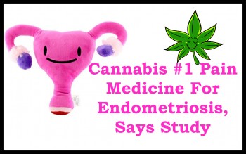 Cannabis #1 Pain Medicine For Endometriosis Says Study
