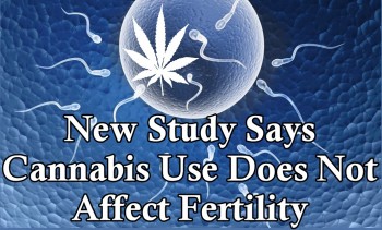 New Study Says Cannabis Use Does Not Affect Fertility