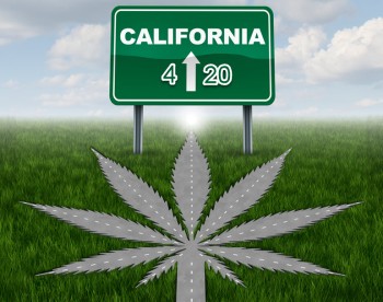 The California 420 Gift Guide for 2022 - What New Products are Turning Cali Green This April 20th?