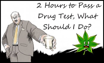 2 Hours to Pass a Drug Test, What Should I Do First?