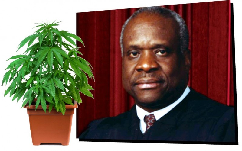 Clarence Thomas on Marijuana