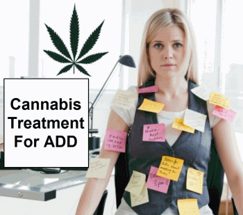 Cannabis For ADD Is Safer For Adults And Children