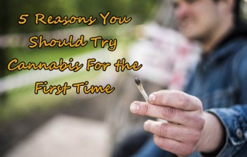5 Reasons You Should Try Recreational Cannabis