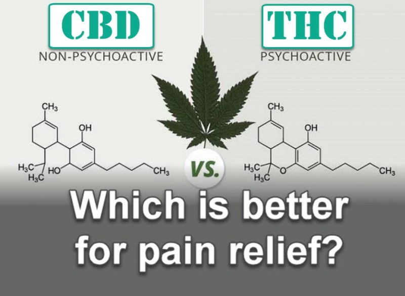 cbd or thc for pain relief