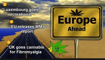 European Legal Marijuana News