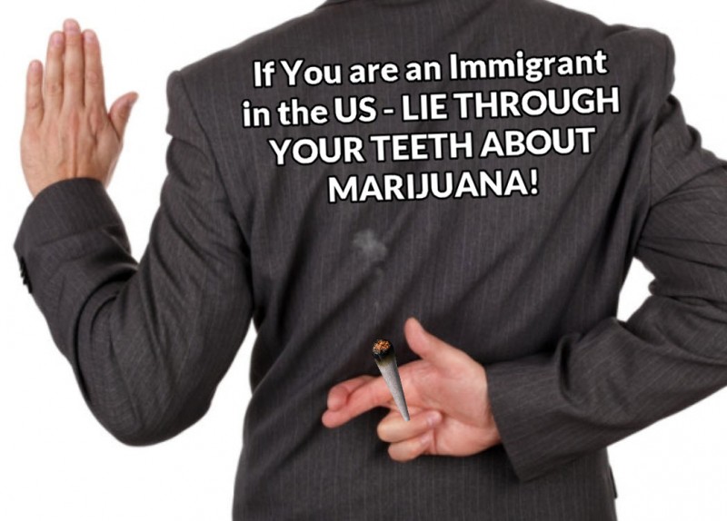 admitted cannabis use immigration