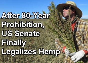 After 80-Year Prohibition, US Senate Finally Legalizes Hemp