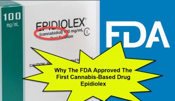 Why The FDA Approved The First Cannabis-Based Drug Epidiolex