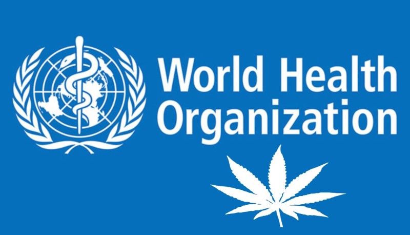 worldwide cannabis legalization