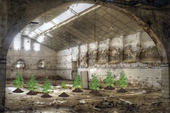 The Living Metaphor: Old Police Academy Converted to Cannabis Grow Site