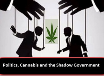 Politics, Cannabis and the Shadow Government