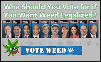 Who Should You Vote for if You Want Weed Legalized?
