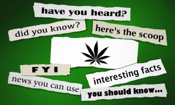 Five Things You Need to Consider Before Buying Weed for the First Time (GUIDE)