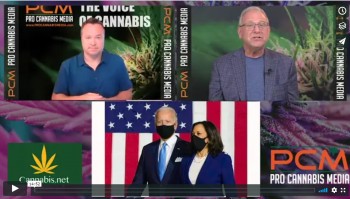 Weed Talk NEWS - Is Kamala Harris Good or Bad for Weed? The Marijuana Industry Debates