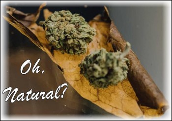 Should You Try Natural Leaf Wraps Instead of Traditional Rolling Papers?