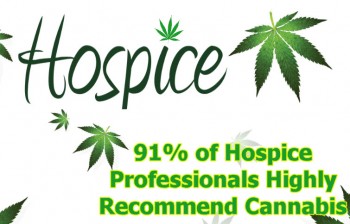 91% of Hospice Professionals Highly Recommend Cannabis