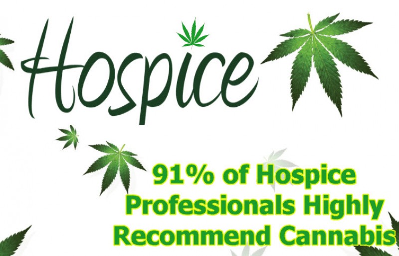 cannabis and hospice